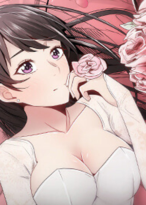 钢之炼金术师 - 兄弟寻找贤者之石